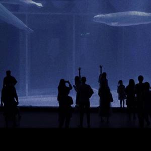 主播户外勾塔白天
