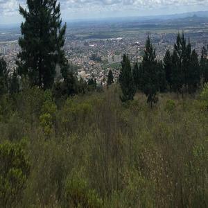 主播户外勾塔白天
